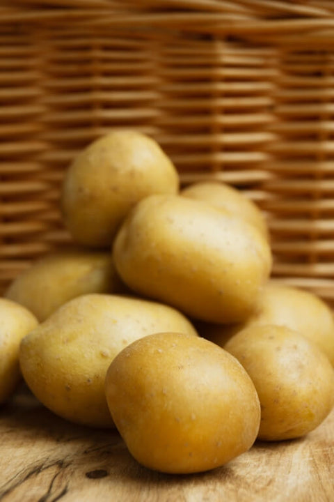 SUNBITE F1 - Baby Potato (True Seed)