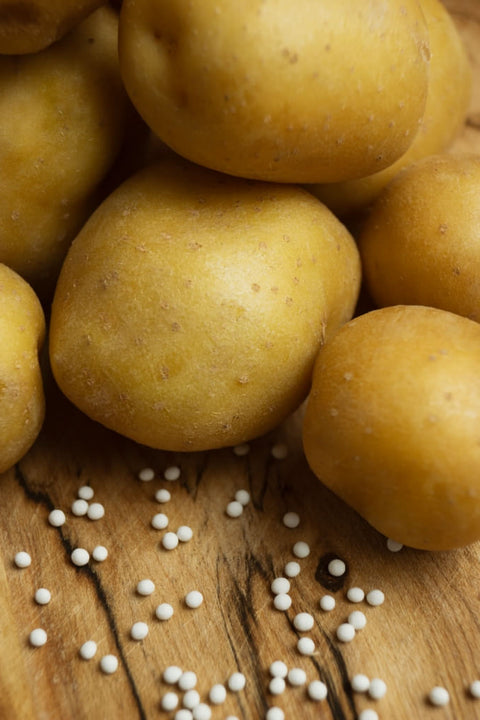 SUNBITE F1 - Baby Potato (True Seed)