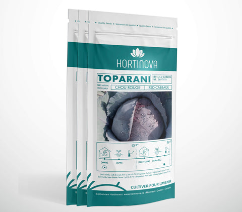 TOPARANI - Semences de Chou Rouge à Pollinisation Libre