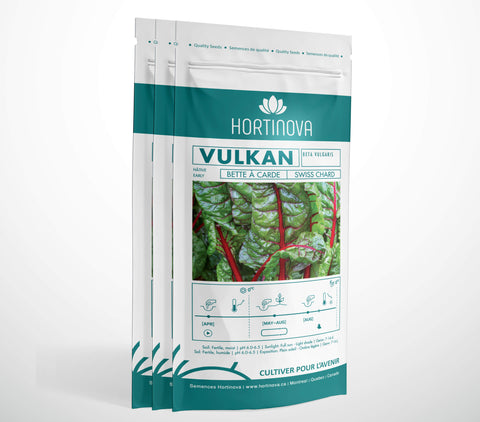VULKAN - Semences de Bette à Carde à Pollinisation Libre