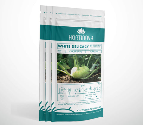 WHITE DELICACY - Semences de Chou-rave à Pollinisation Libre