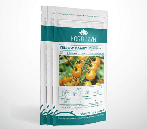 YELLOW BAMBY F1 - Semences de Tomates Cerises Hybrides
