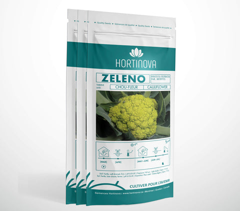 ZELENO - Semences de Chou-fleur Vert à Pollinisation Libre