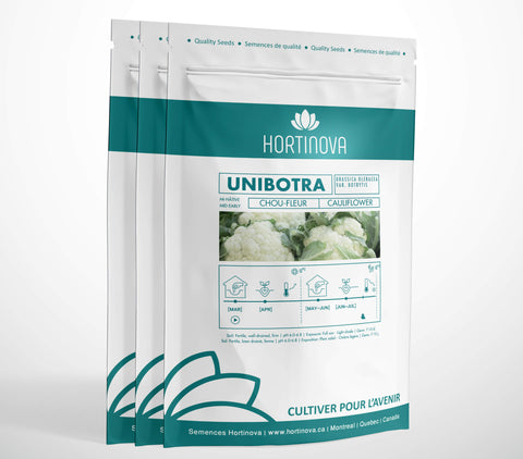 UNIBOTRA High Quality Cauliflower Seed Package for Gardening and Farming