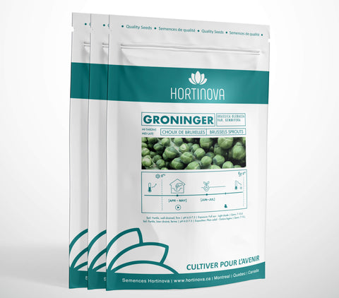 GRONINGER High Quality Heirloom Brussels Sprouts Seed Package for Gardening 