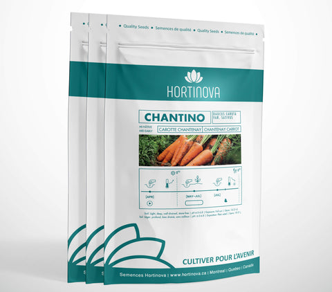 CHANTINO High Quality Carrot Seed Package for Gardening and Farming