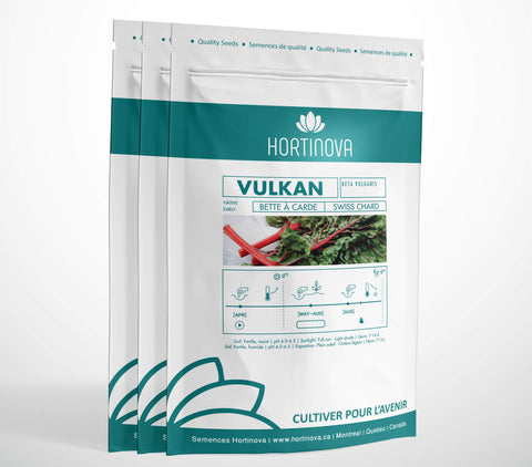 VULKAN High Quality Swiss Chard Seed Package for Gardening and Farming