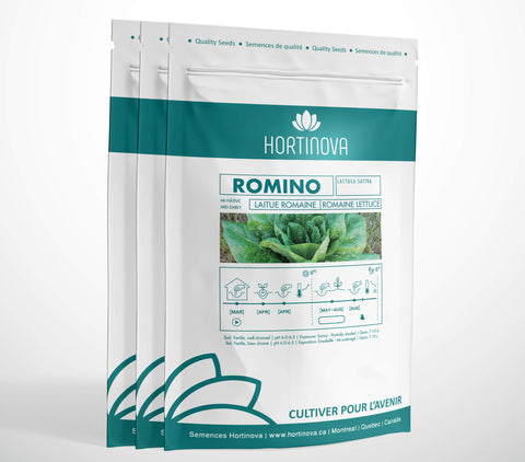 Lettuce - ROMINO - Hortinova Seeds