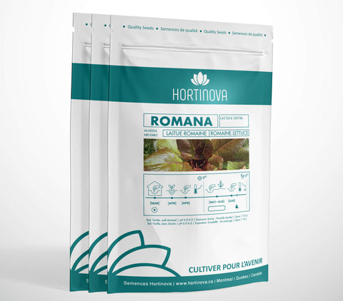 Lettuce - ROMANA - Hortinova Seeds
