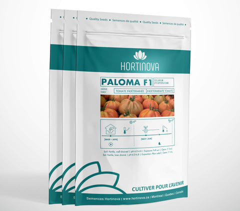 PALOMA F1 High Quality Hybrid Heirloom Tomato Seed Package for Gardening and Farming