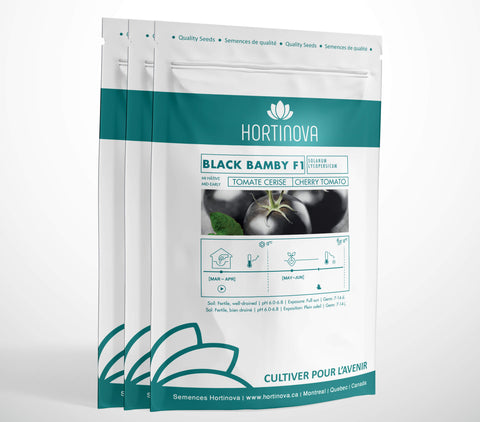 BLACK BAMBY F1 High Quality Cherry Tomato Seed Package for Gardening and Farming.