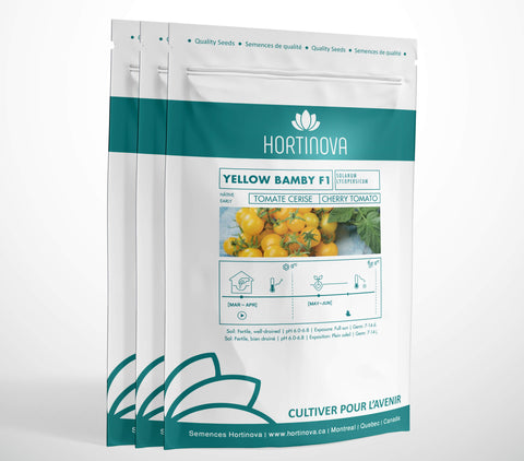 YELLOW BAMBY F1 High Quality Cherry Tomato Seed Package for Gardening and Farming.