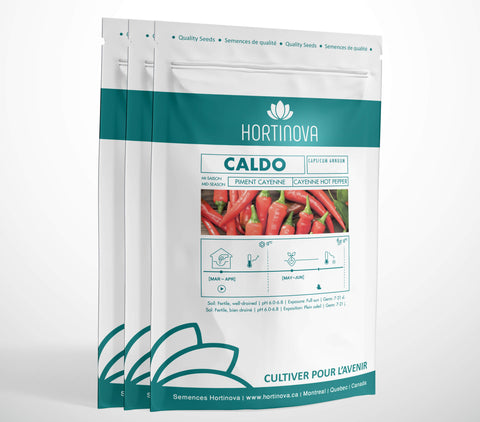 CALDO High Quality Cayenne Pepper Seed Package for Gardening and Farming