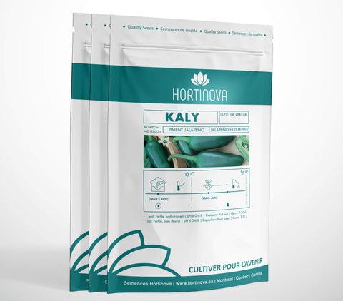 KALY High Quality Jalapeno Pepper Seed Package for Gardening and Farming
