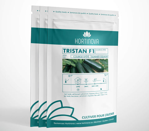 TRISTAN F1 High Quality Hybrid Squash Seed Package for Gardening and Farming