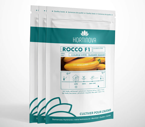 ROCCO F1 High Quality Hybrid Squash Seed Package for Gardening and Farming