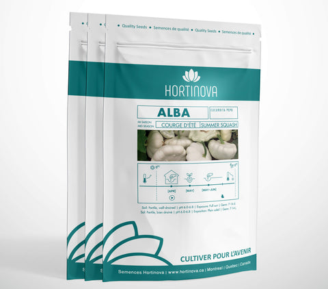 ALBA High Quality Hybrid Squash Seed Package for Gardening and Farming