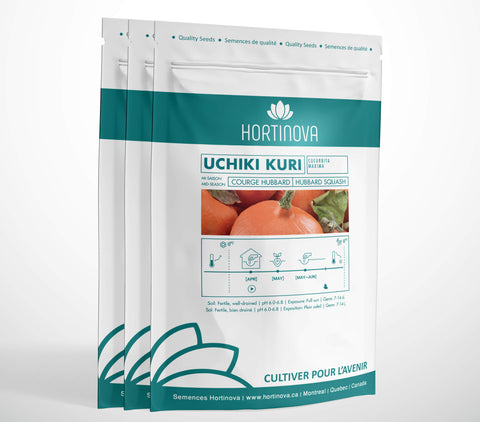 UCHIKI KURI High Quality Squash Seed Package for Gardening and Farming